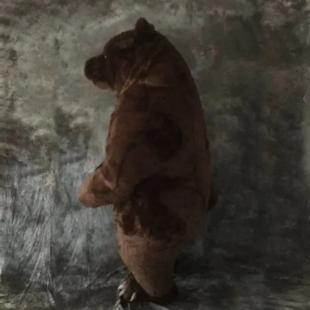 Inflatable Brown Bear Mascot C - огляд і ціна Halloween Costume Adult