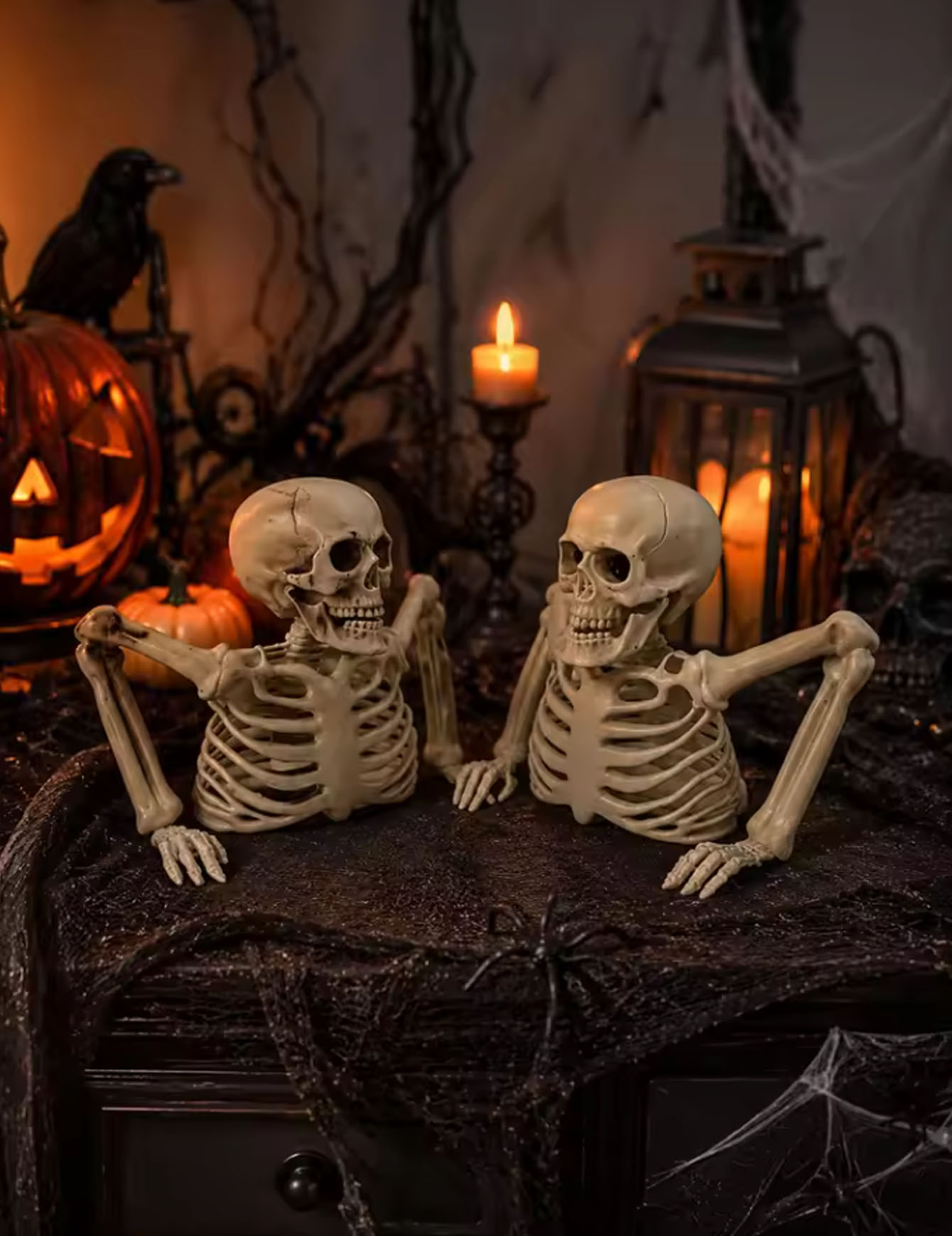 Halloween Half Skeleton Party, - огляд і ціна Spider Web Halloween Decoration
